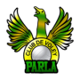 Cde Parla Voley