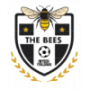 The Bees FC
