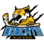 Blue Ridge Bobcats