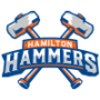 Bridgeport Islanders