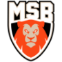 Le Mans Sarthe Basket