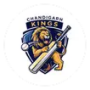 Chandigarh Kings