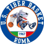TIBER BASKET