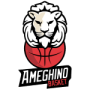 Ameghino de Villa Maria