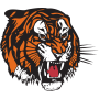 Medicine Hat Tigers