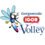 Agil Volley Novara