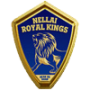 Nellai Royal Kings