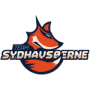 Sydhavsoerne