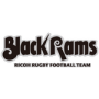 RICOH BLACK RAMS