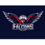 Newcastle Falcons