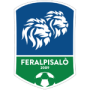Feralpisalo 19
