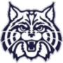 Wilmington Wildcats