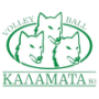 AO Kalamata 80