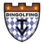 TV Dingolfing