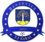 FK Tj Sokol Brezovica