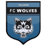 FC Tallinn Wolves