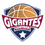 Gigantes de Guayana