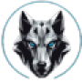 Belfast Wolves