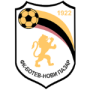 FK Botev Novi Pazar