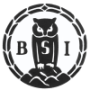 Bsi Volleyball