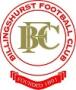 Billingshurst FC