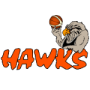 Hawke's Bay Hawks