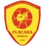 ACS Flacara Horezu