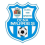 Ocna Mures