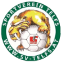 SV Telfs