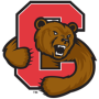 Brown Bears (F)