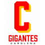 Gigantes de Carolina