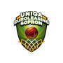 Sopron Basket (K)