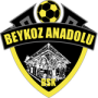 Beykoz Anadolu Spor