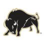 Harding Bisons