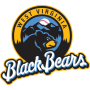 West Virginia Black Bears