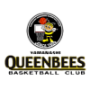 Yamanashi Queen Bees (F)
