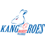 Kangoeroes Basket Mechelen