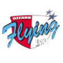 NFB Ozzano Basket