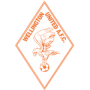 Wellington United AFC
