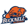 Bucknell Bison