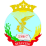 FC Stauceni