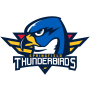 Springfield Thunderbirds