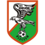 Sokol Kleczew