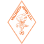Wellington United Diamonds