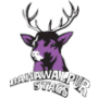 Bahawalpur Region