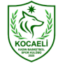 Kocaeli Kadin (W)