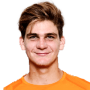 Tiago Seibot Wild
