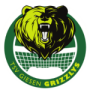 TSV Giesen Grizzlys