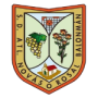 Acanur Atletico Novas