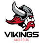 Goole Vikings